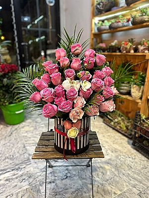 Kutuda Pembe Gl, Orkide